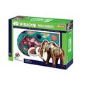 Tedco Toys Tedco Toys 26110 4D Vision Wolly Mammouth Anatomy Model 26110